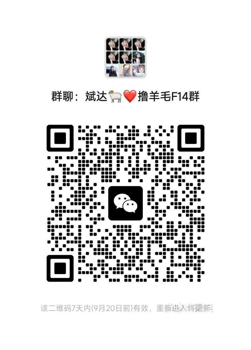 进斌达薅羊毛铁粉vip群哈